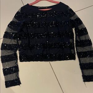 Zara Navy Sequin Striped Mesh Long Sleeve Top
